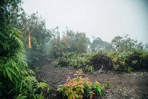 BIB: 
                            <button type="button" onclick="openModal(26272968)" class="btn btn-primary btn-sm float-right btn-popup" data-toggle="modal" data-target=".modal-high-quality">
                        <i class="fas fa-shopping-cart"></i> Add to Cart
                    </button>
                                            <button type="button" onclick="isThisMe(26272968, true)" class="btn btn-success btn-sm float-right btn-popup btn-isme hidden" data-toggle="tooltip" data-placement="bottom" title="นี่คือรูปของคุณใช่ไหม คลิกที่นี่เพื่อเอาเข้าอัลบั้ม">
                        <i class="fas fa-plus"></i> Add to album
                    </button>
                    <button type="button" onclick="isThisMe(26272968, false)" class="btn btn-warning btn-sm float-right btn-popup btn-isnotme hidden">
                        <i class="fas fa-ban"></i> Remove from album
                    </button>